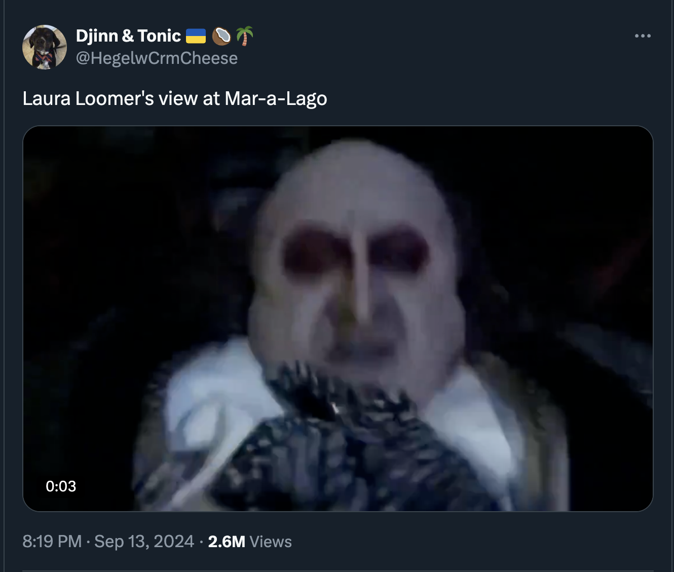 photo caption - Djinn & Tonic Laura Loomer's view at MaraLago 2.6M Views